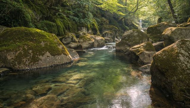 Flowing crystal-clear pool revealing submerged stones in moss-covered forest gorge