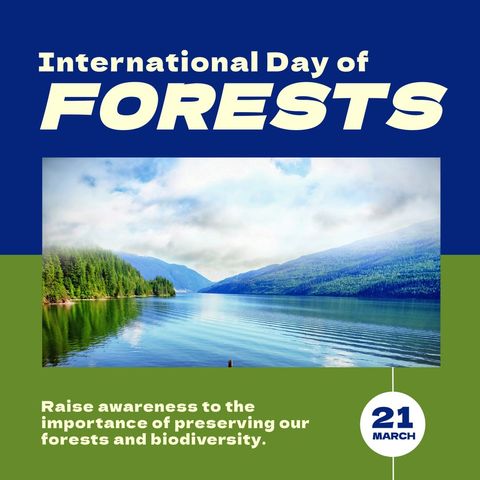 International Day of Forests Scenic Lake and Mountainside - Download Free Stock Templates Pikwizard.com