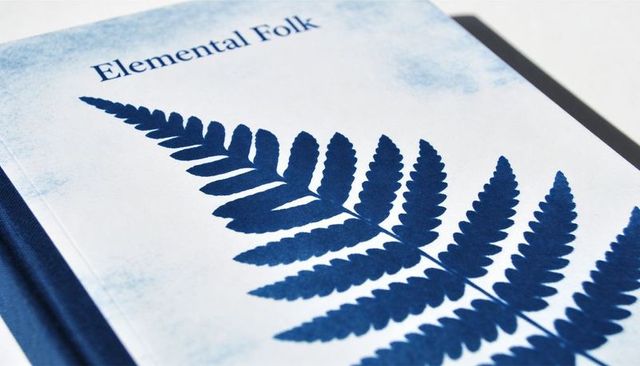 Indigo fern hardcover book cover elemental folk minimalist botanical artwork flat lay