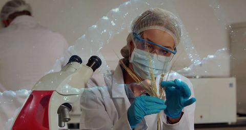Female Scientist Analyzing Wheat Genes in High-Tech Laboratory - Download Free Stock Images Pikwizard.com