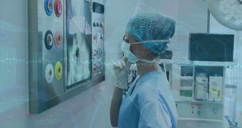 Healthcare Professional Analyzing X-ray Images in Modern Digital Environment