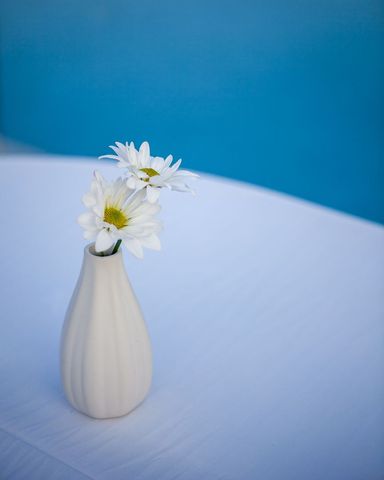 Minimalistic white vase with daisies on blue background
