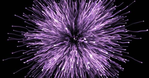 Dynamic burst of purple fireworks on black background