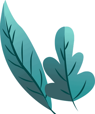 Transparent floral illustration with teal gradient leaves