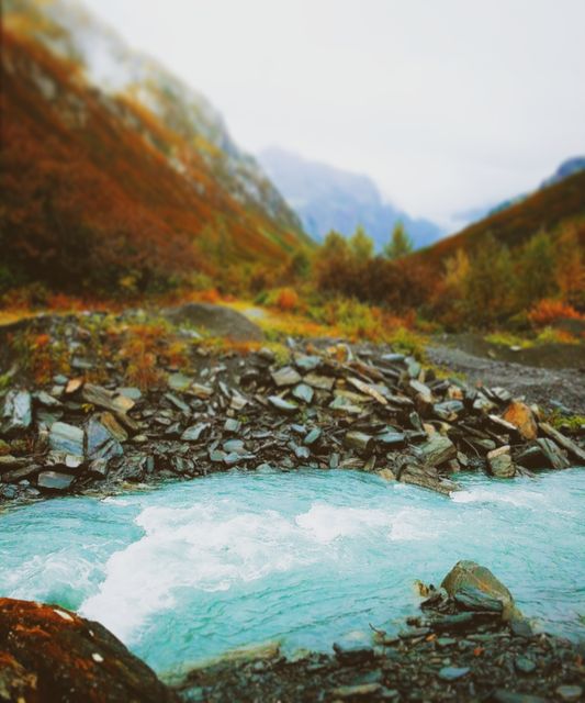 Pristine Alpine Stream Flowing through Rocky Mountain Landscape - Download Free Stock Images Pikwizard.com