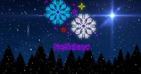 Festive Holidays with Snowflakes Under Starry Night Sky