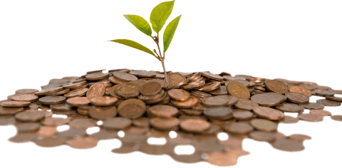 Transparent Plant Growing from Pile of Coins Symbolizes Financial Growth