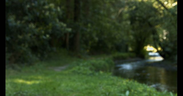 A blurred image of a forested outdoor area near a stream - Download Free Stock Photos Pikwizard.com