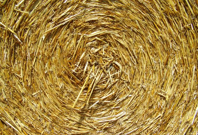 Capturing the intricate details of a round hay bale, this image highlights the beautiful spiral pattern created by tightly packed straw. Ideal for agricultural or rural-themed content, this image can be used for websites, articles, or promotional materials that focus on farming, nature, or harvest seasons.