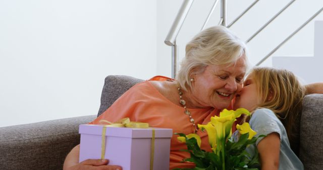 Granddaughter Giving Gift to Happy Grandmother - Download Free Stock Images Pikwizard.com