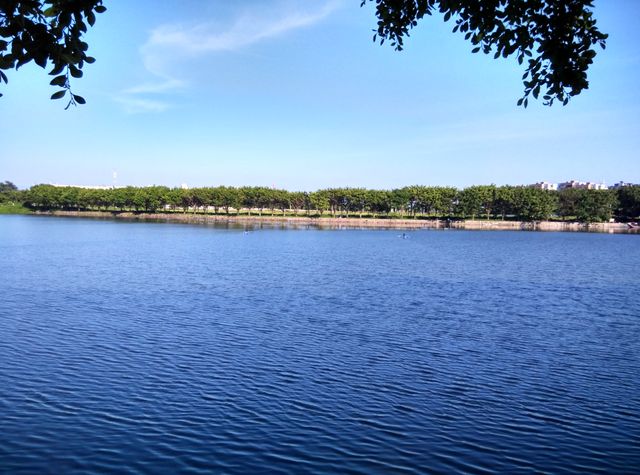 Serene Blue Lake with Tree Line Horizon on Sunny Day - Download Free Stock Photos Pikwizard.com