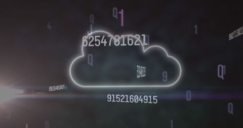 Digital cloud computing with dynamic numbers