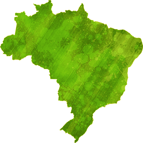 Abstract Green Map of Brazil on Transparent Background
