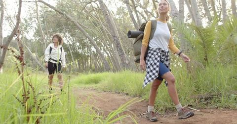 Women Enjoying a Forest Hike in Nature's Tranquility - Download Free Stock Images Pikwizard.com