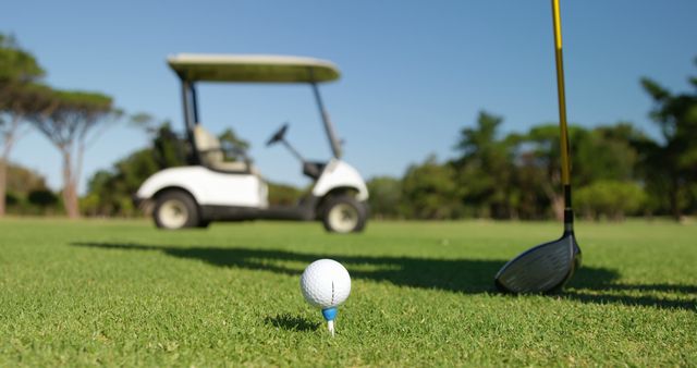 Golfer placing golf ball on tee at golf course