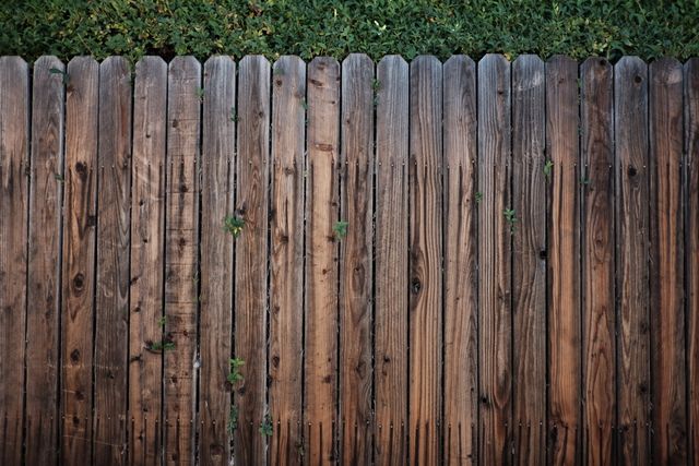 A close-up view of an aged wooden fence with green ivy growing on top. Suitable for use in landscaping projects, outdoor decor inspiration, garden design ideas, rustic backgrounds, and nature themes.