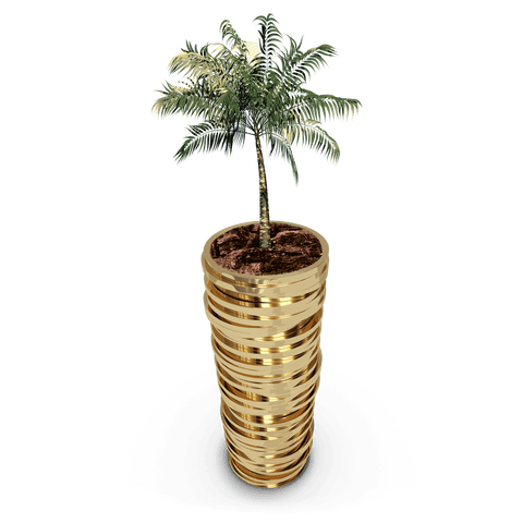digital plant in metallic pot on transparent background - Download Free Stock Videos Pikwizard.com