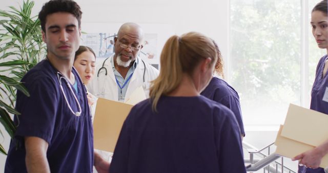 Image of three diverse male and female doctors looking at file talking in busy hospital corridor - Download Free Stock Photos Pikwizard.com