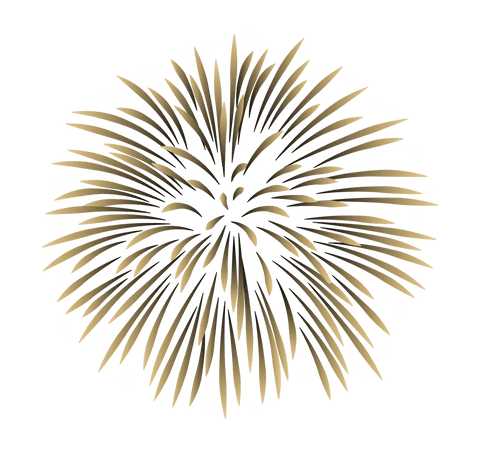 gold fireworks burst on transparent background for celebrations - Download Free Stock Videos Pikwizard.com