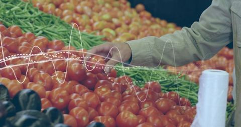 Shopper reaching for ripe tomatoes at market with bag dispenser and fresh vegetables