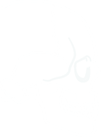transparent outline of human skull vector on white background - Download Free Stock Videos Pikwizard.com