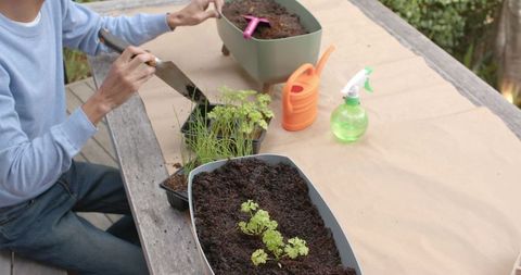 Gardener transplanting seedlings into planters for sustainable living