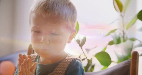 Toddler Seated by Sunlit Window with Indoor Plant