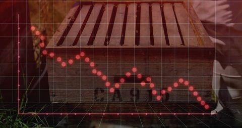 Analyzing Backyard Data: Sustainability and Growth Trends