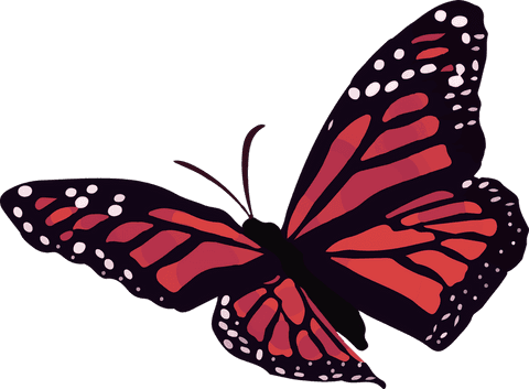 Vibrant monarch butterfly spreading wings on transparent background