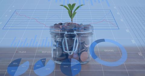 Economic Growth Concept with Coins and Sprouting Plant