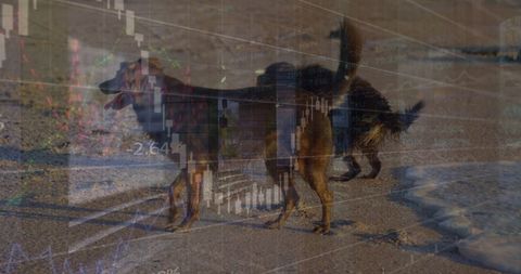 Futuristic Blend of Beach Dogs and Digital Data Visualization