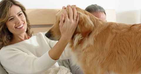 Couple sharing morning cuddling golden retriever on cozy bed, warm affection