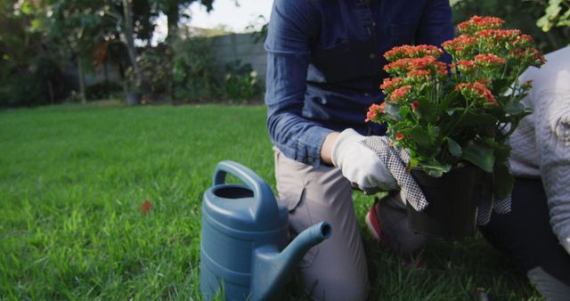 Gardener Planting Flowers in Sunny Backyard Garden - Download Free Stock Images Pikwizard.com