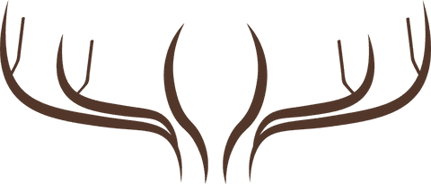 Abstract Brown Antler Shape on Transparent Background Illustration - Download Free Stock Videos Pikwizard.com