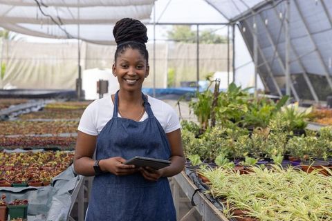 Smiling african american nursery manager holding tablet inspecting seedlings in greenhouse