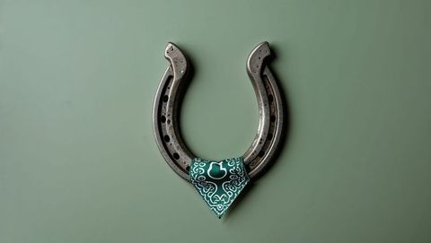 Metallic horseshoe with green paisley bandana on sage-green wall
