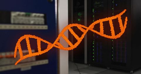 Digital DNA Strand Overlaying High-Performance Servers