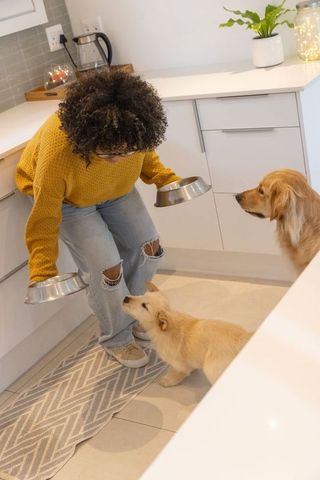 Woman feeding two dogs in bright kitchen holding steel bowls mustard sweater cozy domestic