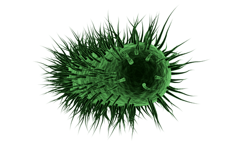 Transparent Digital Illustration of Spiky Green Bacteria - Download Free Stock Videos Pikwizard.com