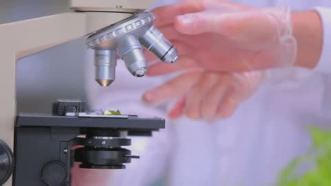 Students Conducting Botanical Research in Laboratory