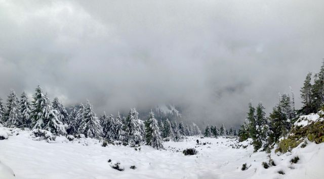 Snow Mountain Winter - Download Free Stock Photos Pikwizard.com