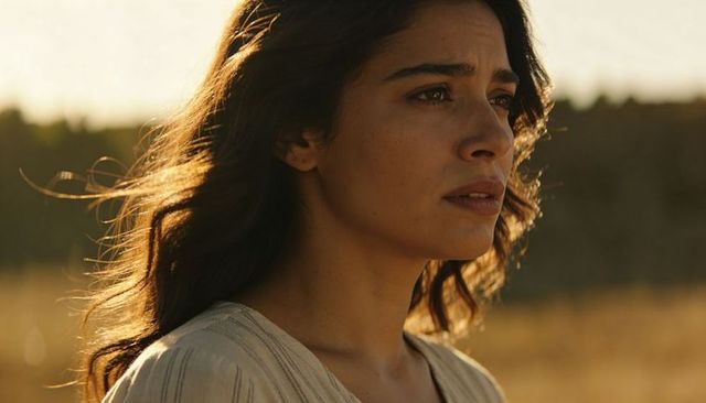 Sunlit backlit portrait of woman gazing into distance in golden field, thoughtful mood