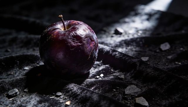 Moody dark plum resting on black velvet with glossy sheen and scattered gray chips
