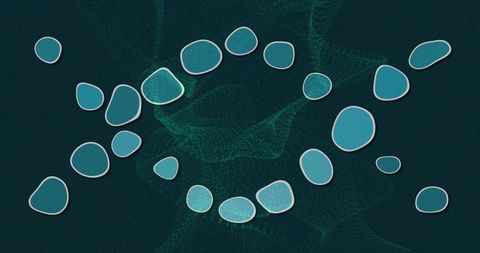 Floating turquoise pebble shapes forming curved composition over deep teal digital mesh