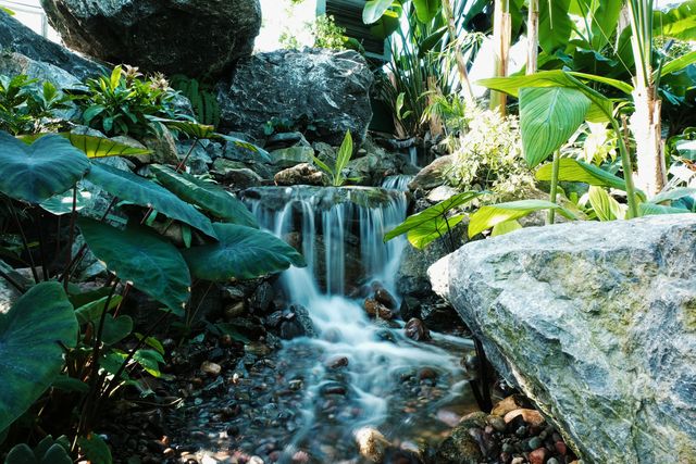 A tranquil garden waterfall is surrounded by lush tropical greenery and large rocks. The flowing water creates a serene atmosphere, ideal for use in themes related to nature, relaxation, gardens, and landscaping. This image can be used in blogs, magazines, or websites focusing on horticulture, landscaping design, or meditation and wellness.