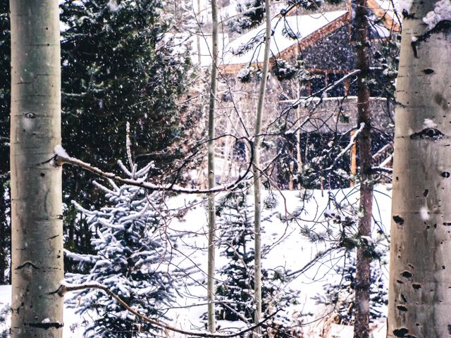 Snowy Forest Scene with Cabin in Background - Download Free Stock Photos Pikwizard.com