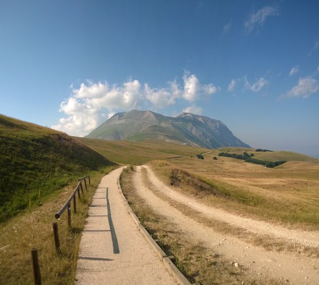 This scenic pathway through a grassy meadow with a mountain in the background is ideal for content related to hiking, travel, nature trips, adventure promotions, and relaxation themes. The tranquil setting makes it perfect for promoting outdoor activities, environmental awareness, and rural tourism.