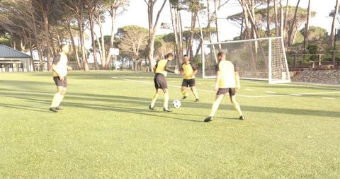 Soccer Team Practicing on Sunlit Outdoor Field
