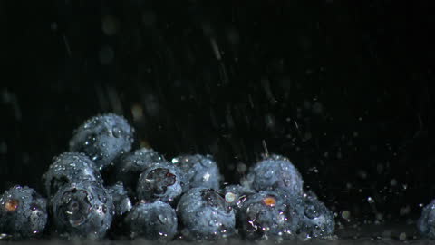 Ripe Blueberries with Water Droplets in Slow Motion
