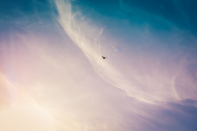 Soft Clouds Pictures  Download Free Images on Unsplash